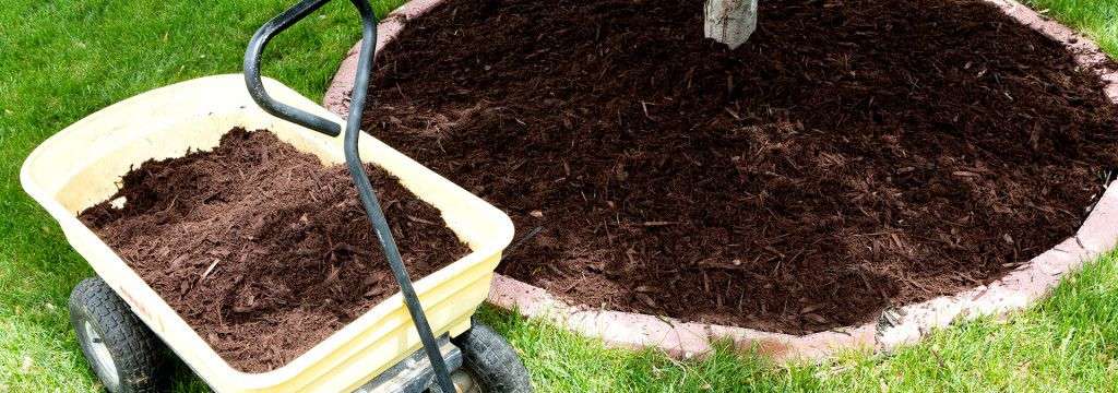 Black mulch placed into a circle surrounding a tree and black mulch in a wheelbarrow. Area is surrounded by grass.
