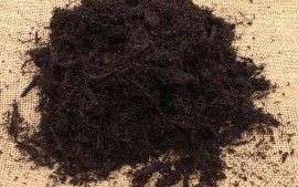 A portion of Karri and Peat Mulch that can be used in your garden or lawn