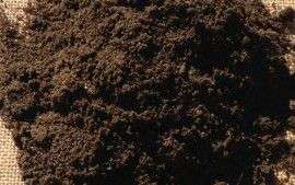 Native soil mix excellent for use in landscaping