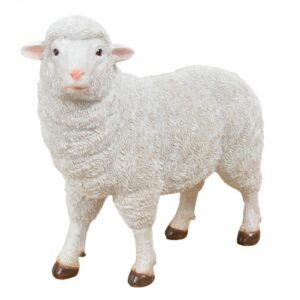 Sheep Statue