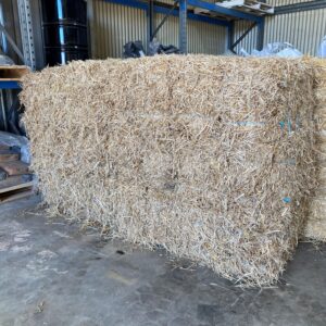 Lupin Mulch